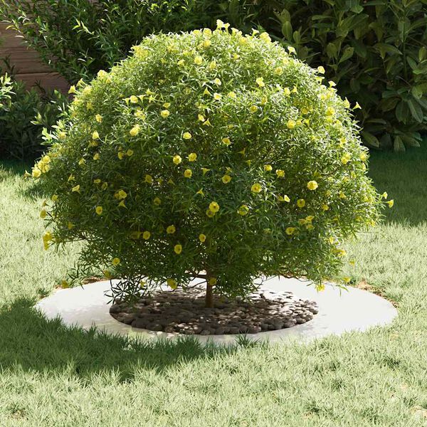 vidaXL adequado para An&eacute;is de &Aacute;rvore Planos 5 pcs Prateado &Oslash;40 / 70 cm