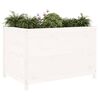 vidaXL Canteiro elevado de jardim 119,5x82,5x78 cm pinho maci&ccedil;o branco