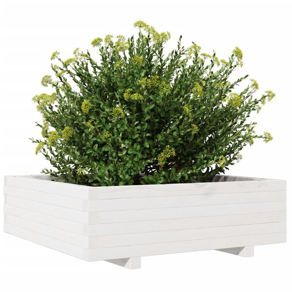 vidaXL Vaso/floreira de jardim 80x80x26,5 cm pinho maci&ccedil;o branco
