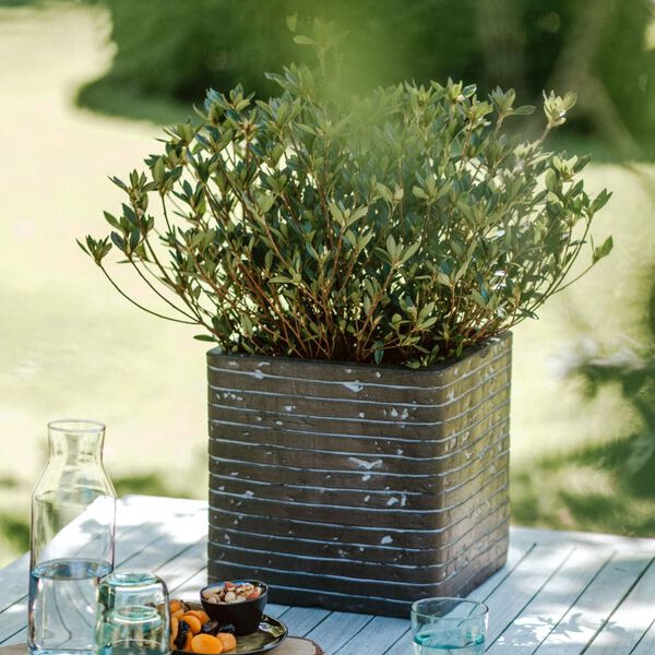 Capi Vaso quadrado Nature Row 30x30x30 cm verde-azeitona