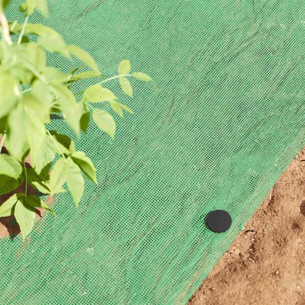 vidaXL Pinos de Pl&aacute;stico 500 pcs Preto &Oslash;3 x 11 cm Pl&aacute;stico