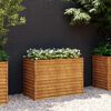 vidaXL Canteiro elevado de jardim 100x50x69 cm A&ccedil;o Corten