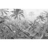 Komar Fotomural Amazonia Black and White 400x250 cm