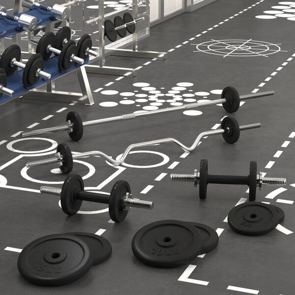 vidaXL Barras e halteres com discos 120 kg ferro fundido