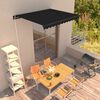 vidaXL Toldo retr&aacute;til manual 350x250 cm antracite