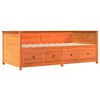 vidaXL Sof&aacute;-cama sem colch&atilde;o 80x200 cm madeira de pinho castanho cera