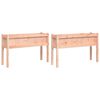 vidaXL Vasos/floreiras de jardim c/ pernas 2pcs madeira douglas maci&ccedil;a