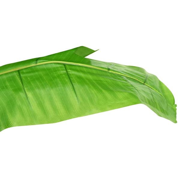 A apresentar a imagem do produto 4 de 6