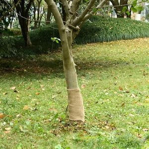 vidaXL Rolo de juta 0,25x5 m 100% juta 200 gsm