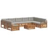vidaXL Conjunto de Sof&aacute;s para Exterior 10 unid. Cinza Natural e Claro