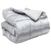 vidaXL Edredom de Inverno 140 x 200 cm 450 gsm Prateado