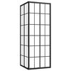 vidaXL Cabine de duche ESG 70x70x180 cm