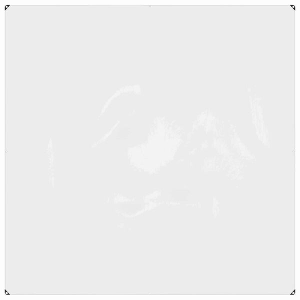 vidaXL Lona com Olhais Transparente 2 x 2 m Polietileno