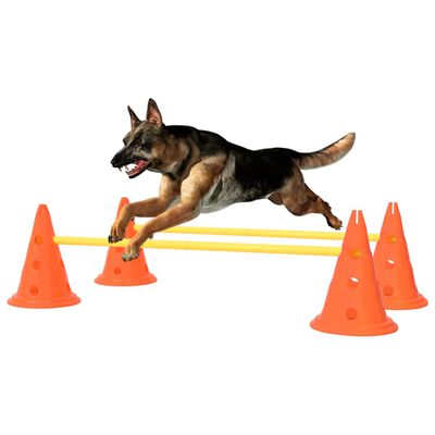 vidaXL Conjunto de obstáculos para atividades caninas laranja/amarelo