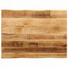 vidaXL Tampo de mesa c/ borda viva 90x60x3,8cm mangueira &aacute;spera maci&ccedil;a