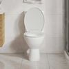 Imagem em miniatura do produto 3 de 13