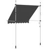vidaXL Toldo retrátil manual 200 cm antracite