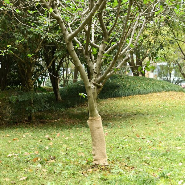 A apresentar a imagem do produto 2 de 8