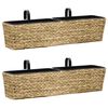 vidaXL Floreiras de pendurar 2 pcs jacinto de &aacute;gua