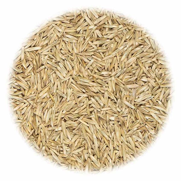 vidaXL Sementes de relva para &aacute;reas desportivas e recreativas 15 kg