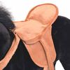 vidaXL Cavalo de peluche de montar preto