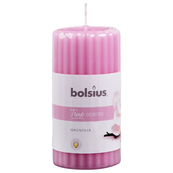 Bolsius Velas cil&iacute;ndric. perfumadas c/ nervuras 6pcs 120x58mm magn&oacute;lia