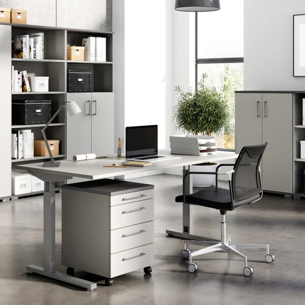 Germania M&oacute;vel c/ rodas GW-Profi 2.0 42x49x61 cm cinza claro/grafite