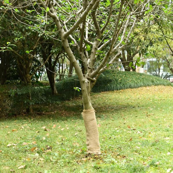 A apresentar a imagem do produto 2 de 7