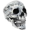 vidaXL Caveira de Halloween SPOOKA 2 unid. Branco 12 x 15 x 17,5 cm