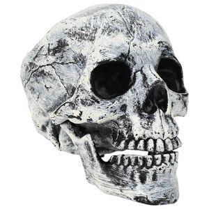 vidaXL Caveira de Halloween SPOOKA 2 unid. Branco 12 x 15 x 17,5 cm