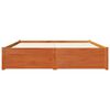 vidaXL Estrutura da Cama com gaveta Marrom Cera 160 x 200 cm