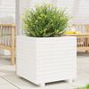 vidaXL Vaso/floreira de jardim 50x50x49,5 cm pinho maciço branco
