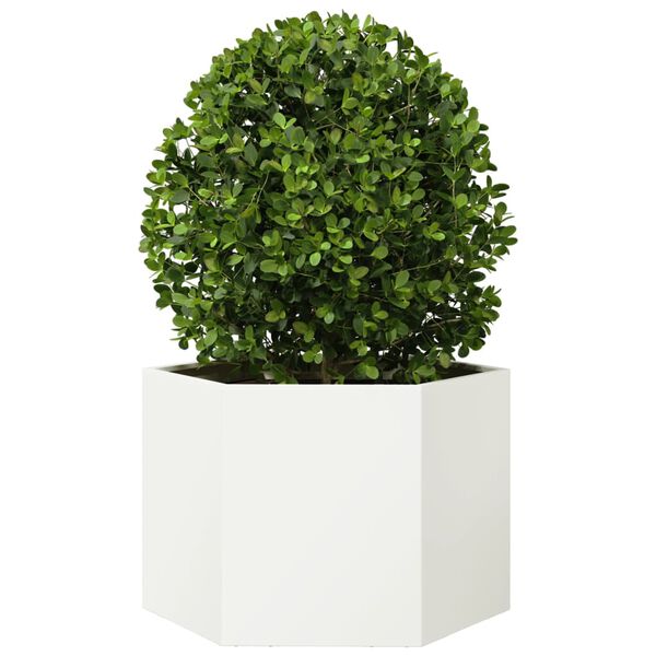 A apresentar a imagem do produto 3 de 10