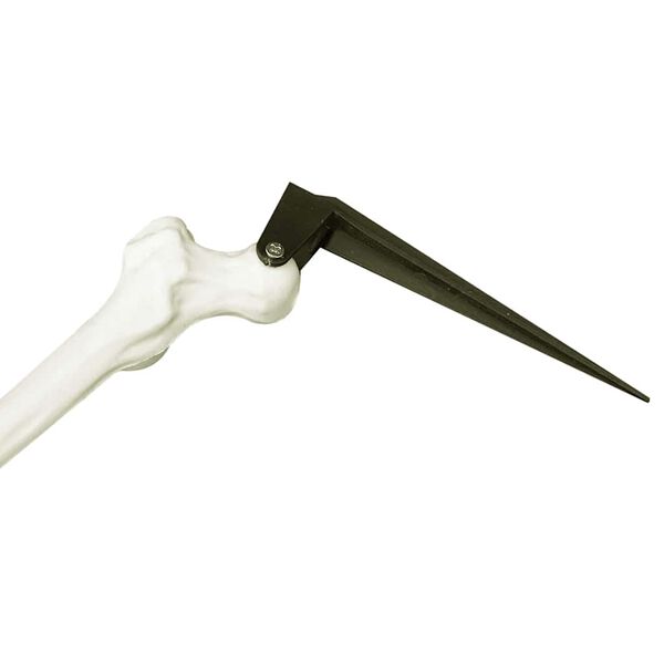 vidaXL Esqueleto de Halloween Branco 45,5 x 13 cm Pl&aacute;stico