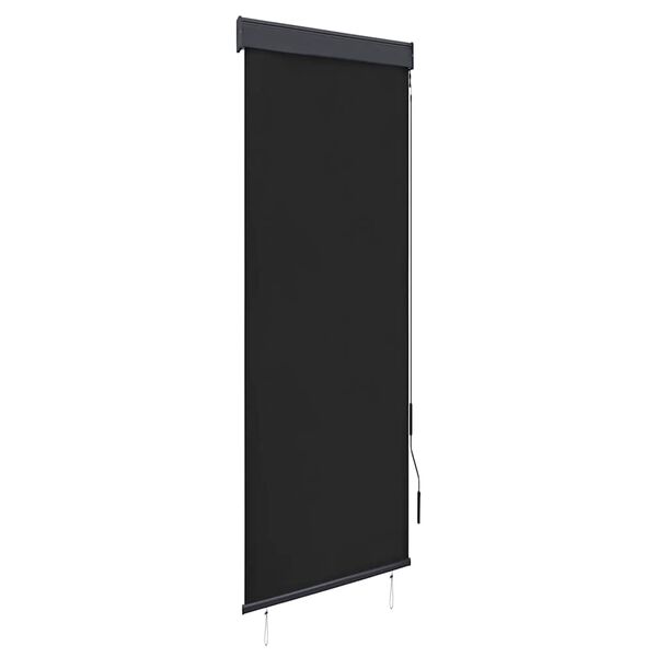 vidaXL Estore de rolo para exterior 60x250 cm antracite