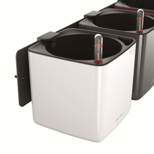 LECHUZA Vasos 3 pcs Green Wall Home Kit antracite brilhante