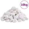 vidaXL Seixos polidos 10 kg 2-5 cm branco