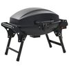 Imagem em miniatura do produto 3 de 10