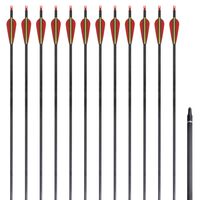 Flechas para arco recurvo padrão 12 pcs 30" 0,76 cm carbono