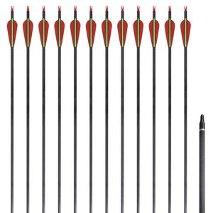 Flechas para arco recurvo padr&atilde;o 12 pcs 30" 0,76 cm carbono