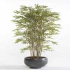 Emerald Bambu japon&ecirc;s artificial 150 cm