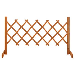 vidaXL Veda&ccedil;&atilde;o em treli&ccedil;a para jardim 120x60 cm abeto maci&ccedil;o laranja