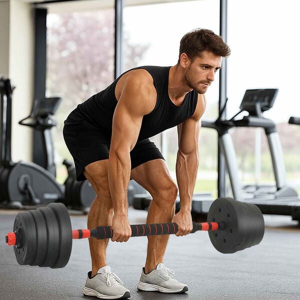 vidaXL Conjunto de Halteres 2 em 1 Preto e Vermelho