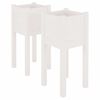 vidaXL Vasos/floreiras de jardim 2 pcs 31x31x70 cm pinho maci&ccedil;o branco