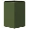 vidaXL Vasos floreiras de jardim 2 pcs hexagonal 46x40x45 cm a&ccedil;o verde
