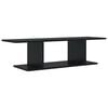 Black_oak