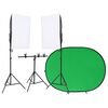 vidaXL Kit estúdio fotográfico c/ conj. de iluminação e tela de fundo