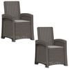 vidaXL Cadeira de Jardim Reclin&aacute;vel com Apar&ecirc;ncia de Rattan 2 unid. PP