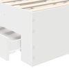 Imagem em miniatura do produto 10 de 15