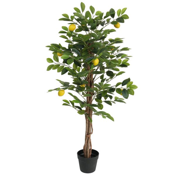 A apresentar a imagem do produto 1 de 5